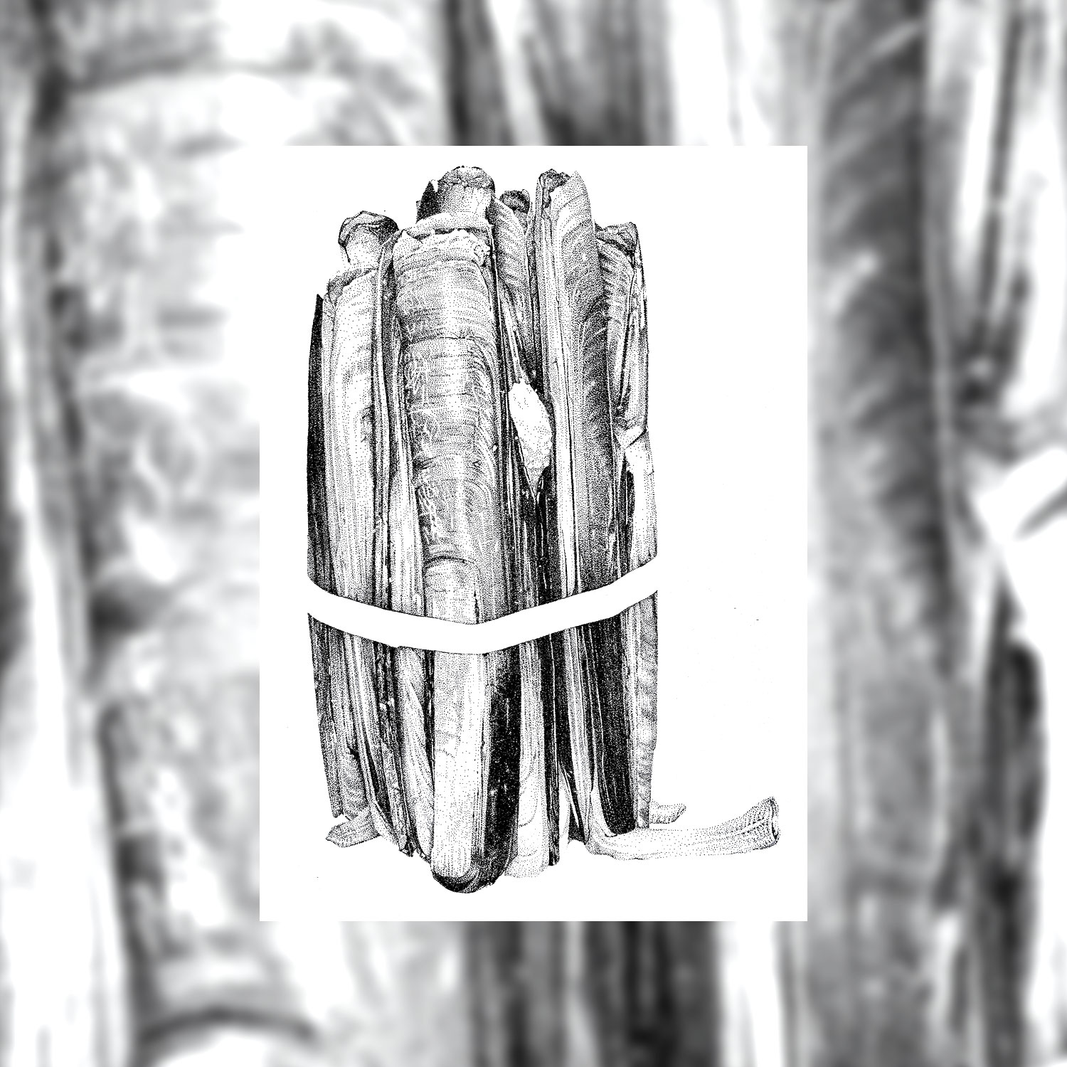 Les couteaux – Image 4